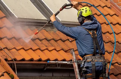 Démoussage et hydrofuge de toiture à Ménoire